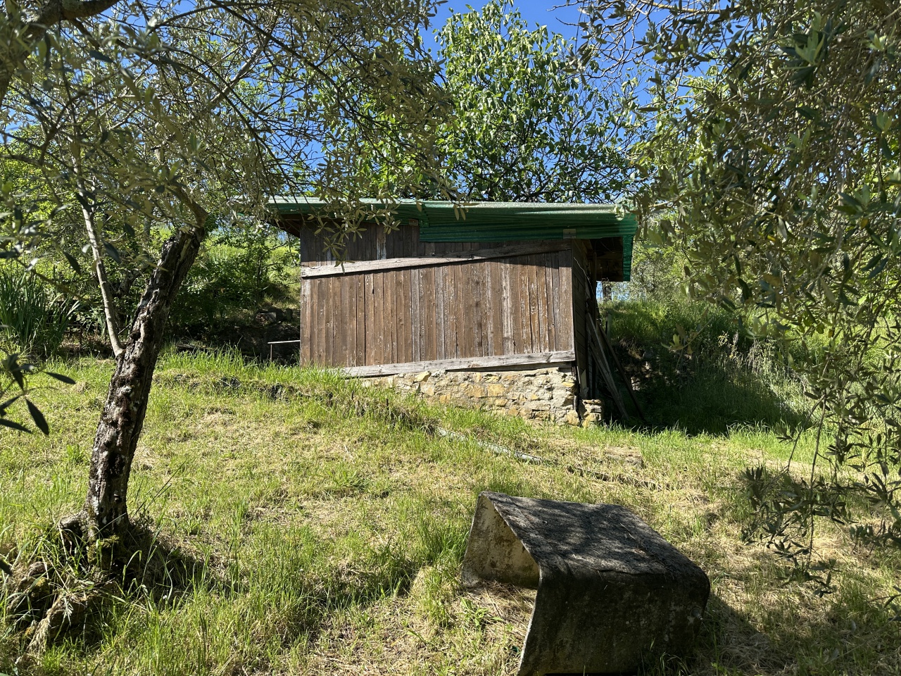 immagine annuncio 2 di 10