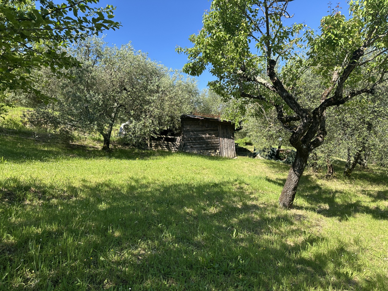 immagine annuncio 4 di 10