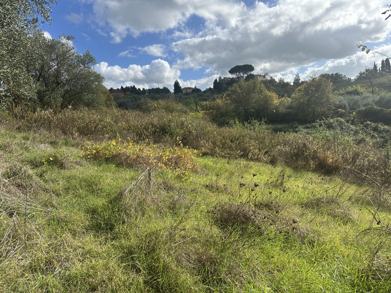 Terreno in vendita a Pelago