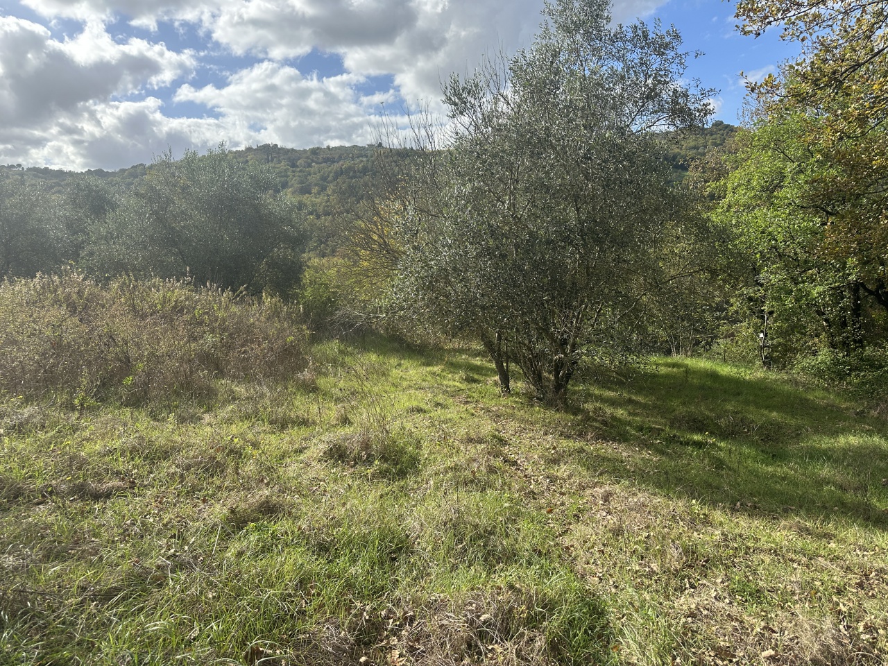 Terreno in vendita a Pelago