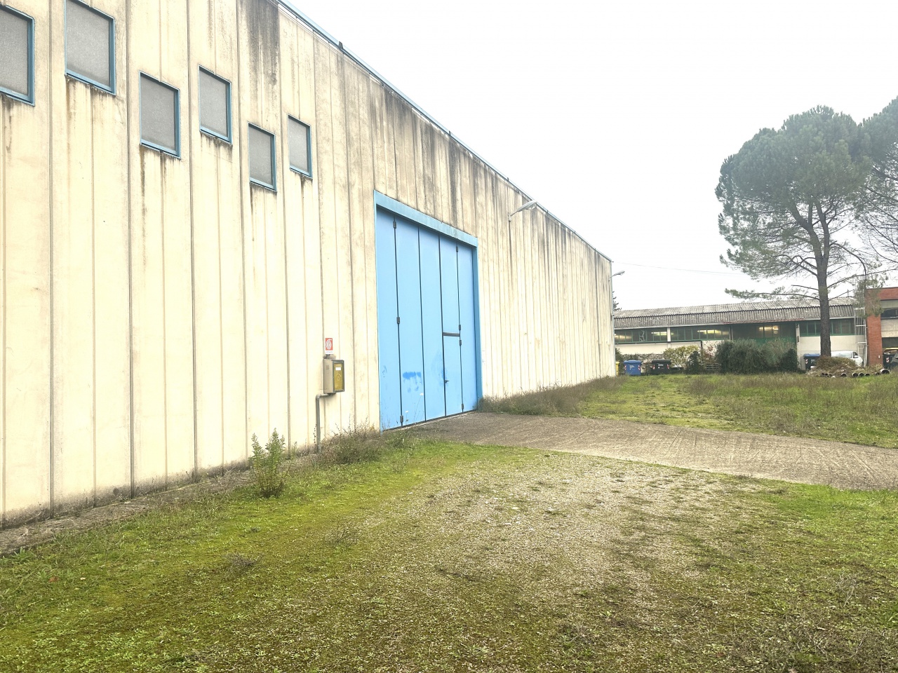 immagine annuncio 1 di 7