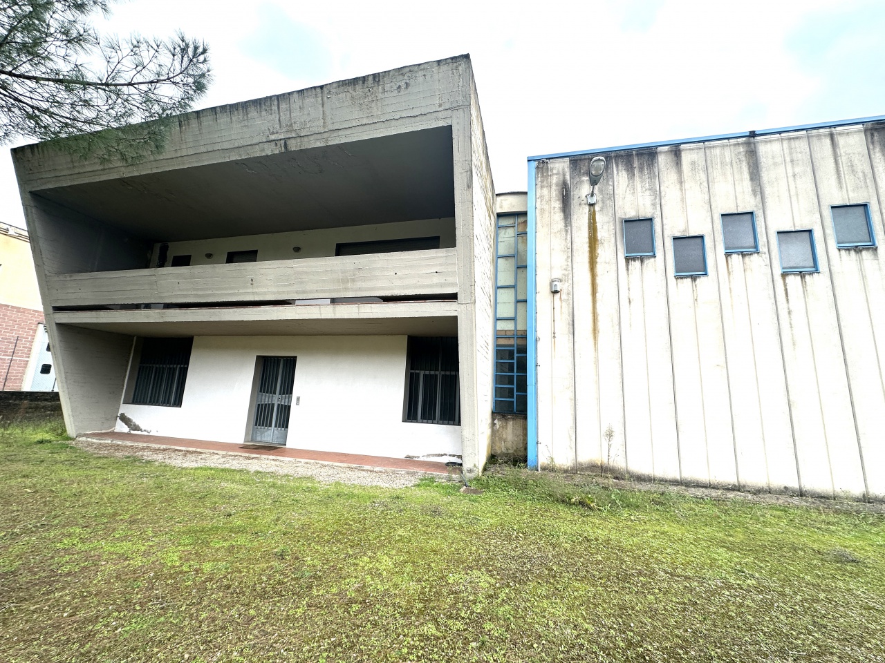 immagine annuncio 2 di 7