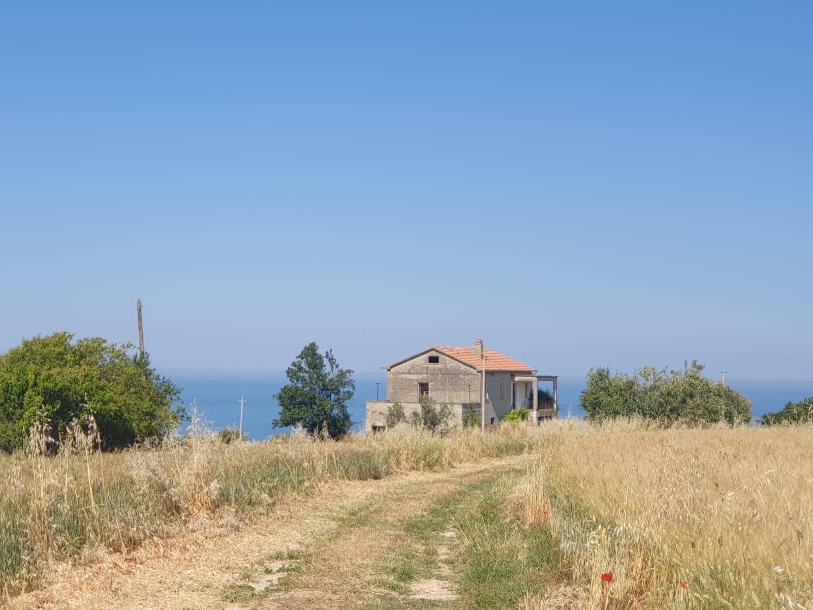 immagine annuncio 3 di 6