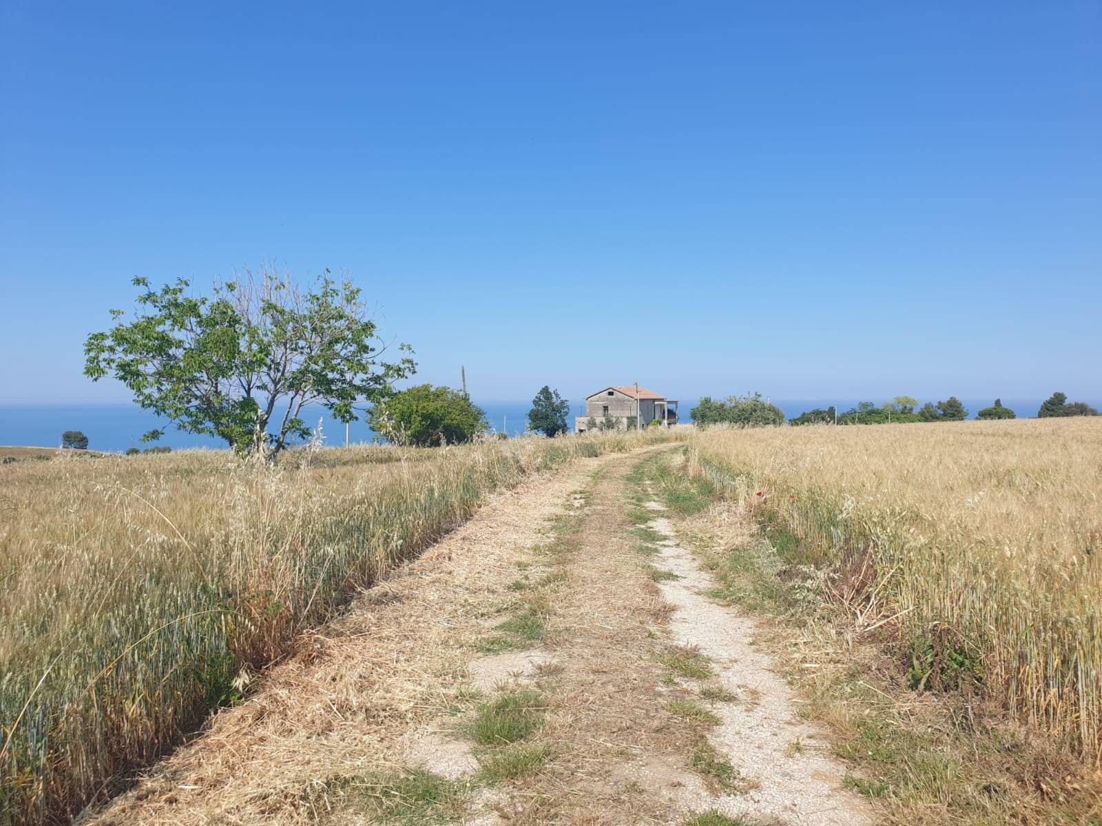 immagine annuncio 4 di 6