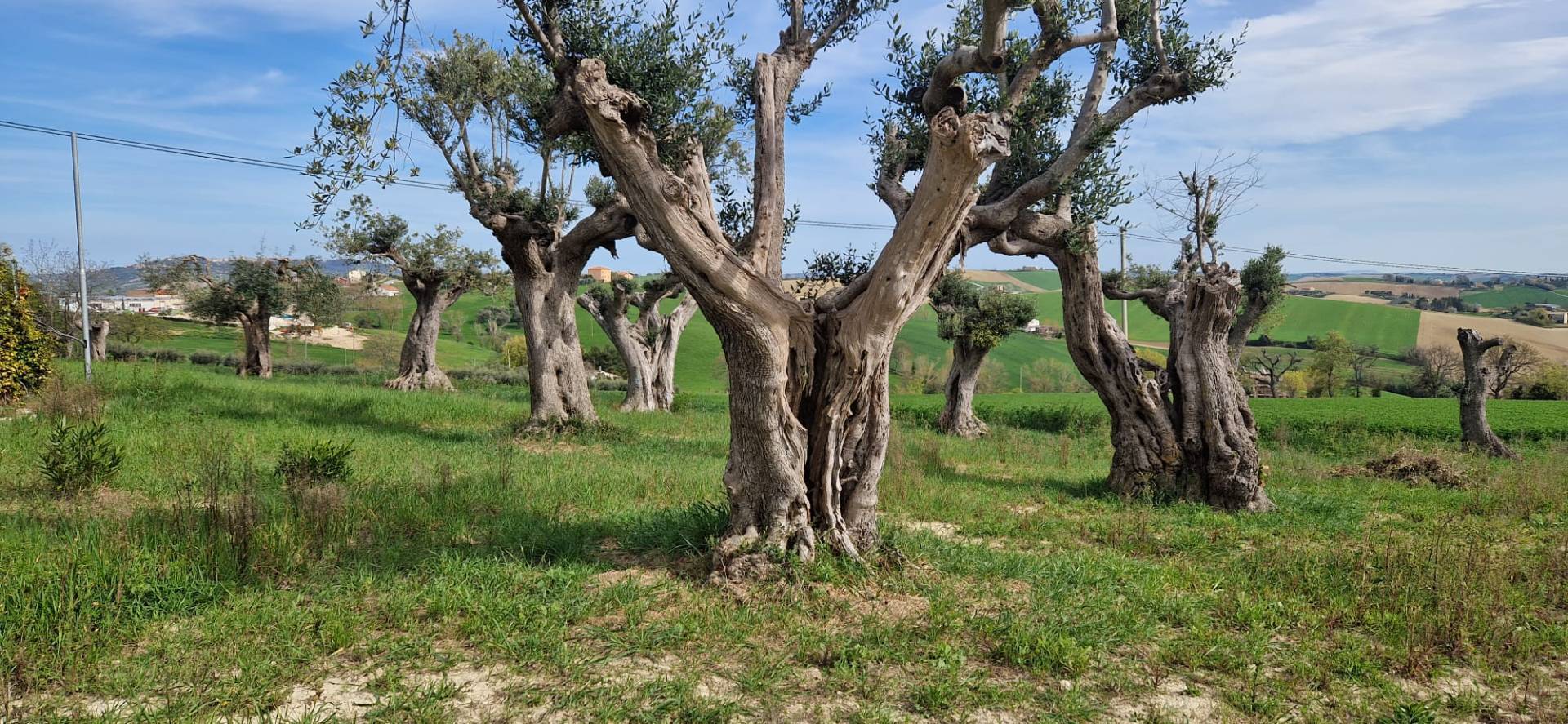 Villa in vendita a Recanati