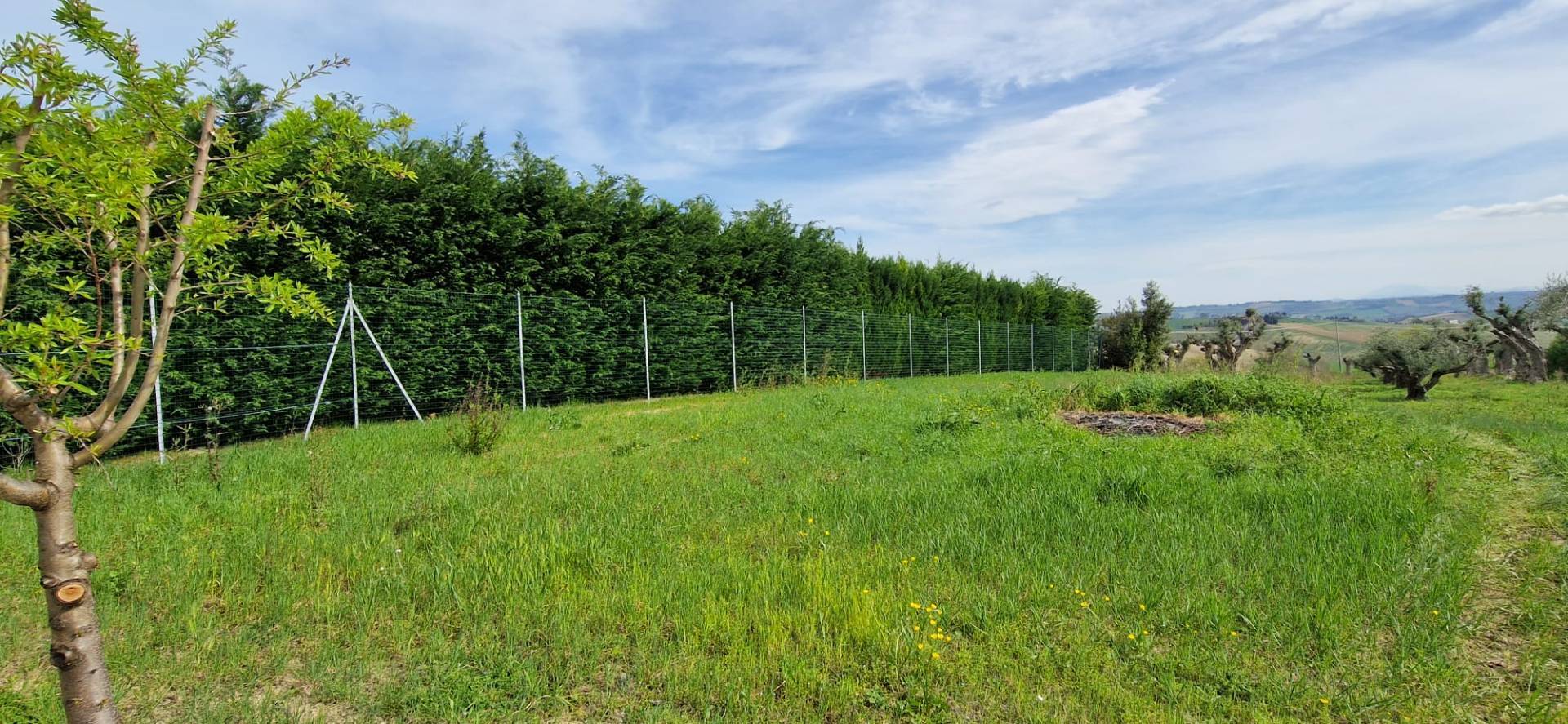 Villa in vendita a Recanati