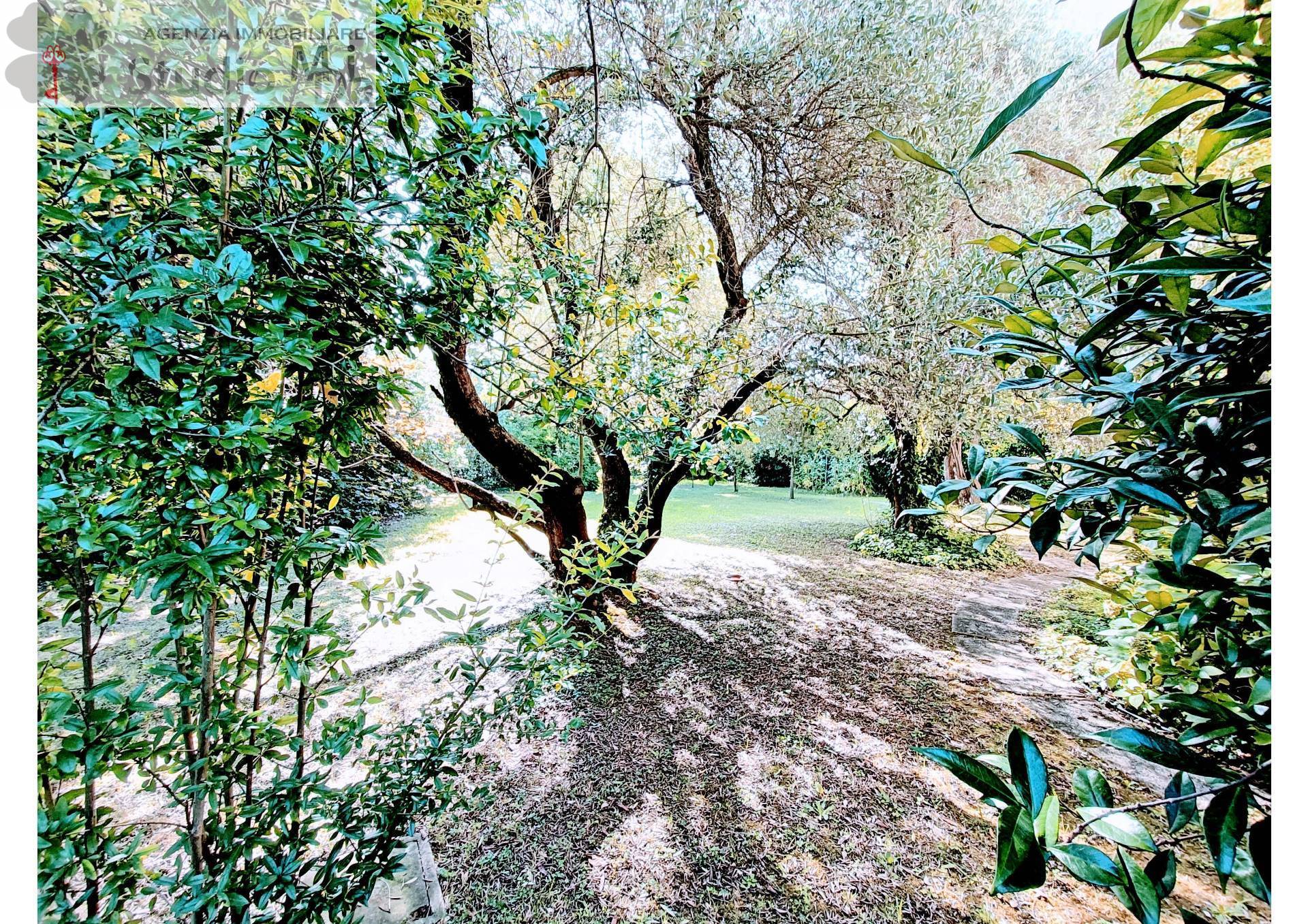 Villette a schiera in vendita a Mogliano Veneto