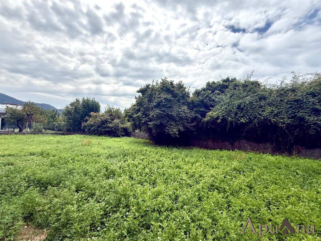 Casa indipendente in vendita, Massa mirteto