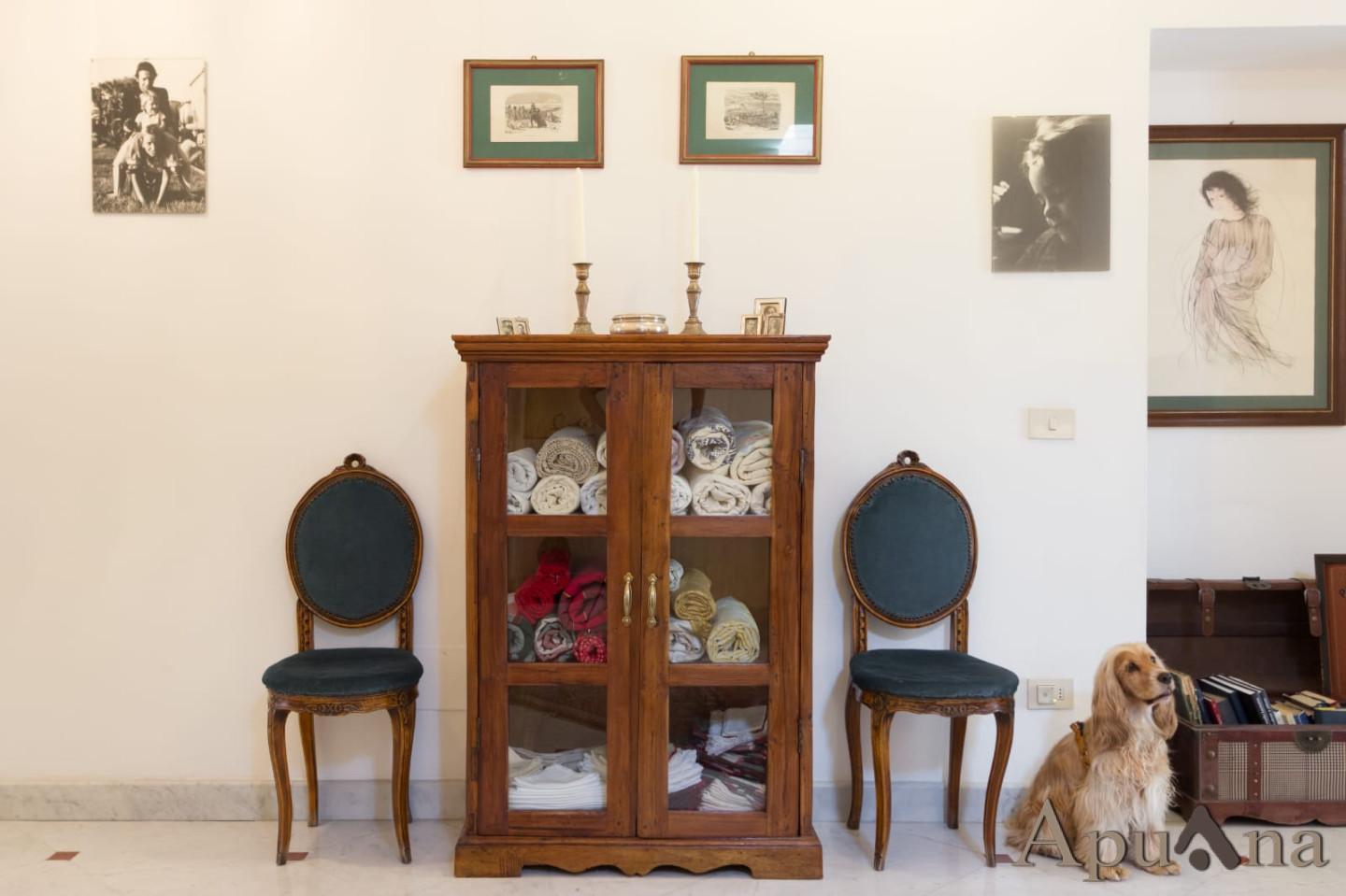 Appartamento in affitto, Massa centro storico