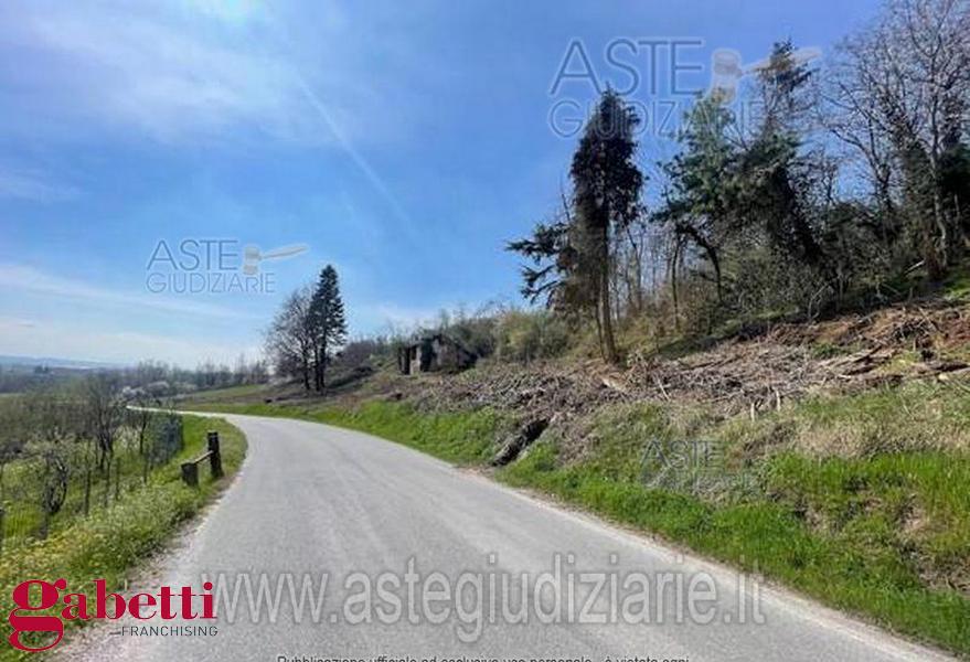 immagine annuncio 2 di 6