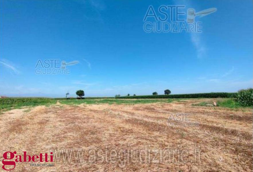Terreno Agricolo in vendita a Sant'Albano Stura