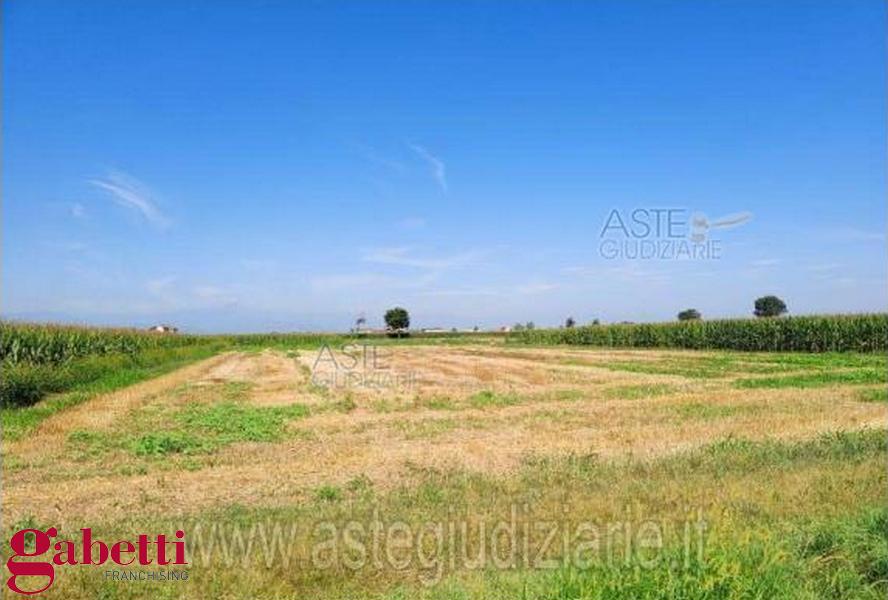 Terreno Agricolo in vendita a Sant'Albano Stura