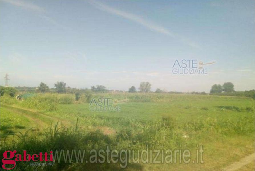 Terreno Agricolo in vendita a Sant'Albano Stura