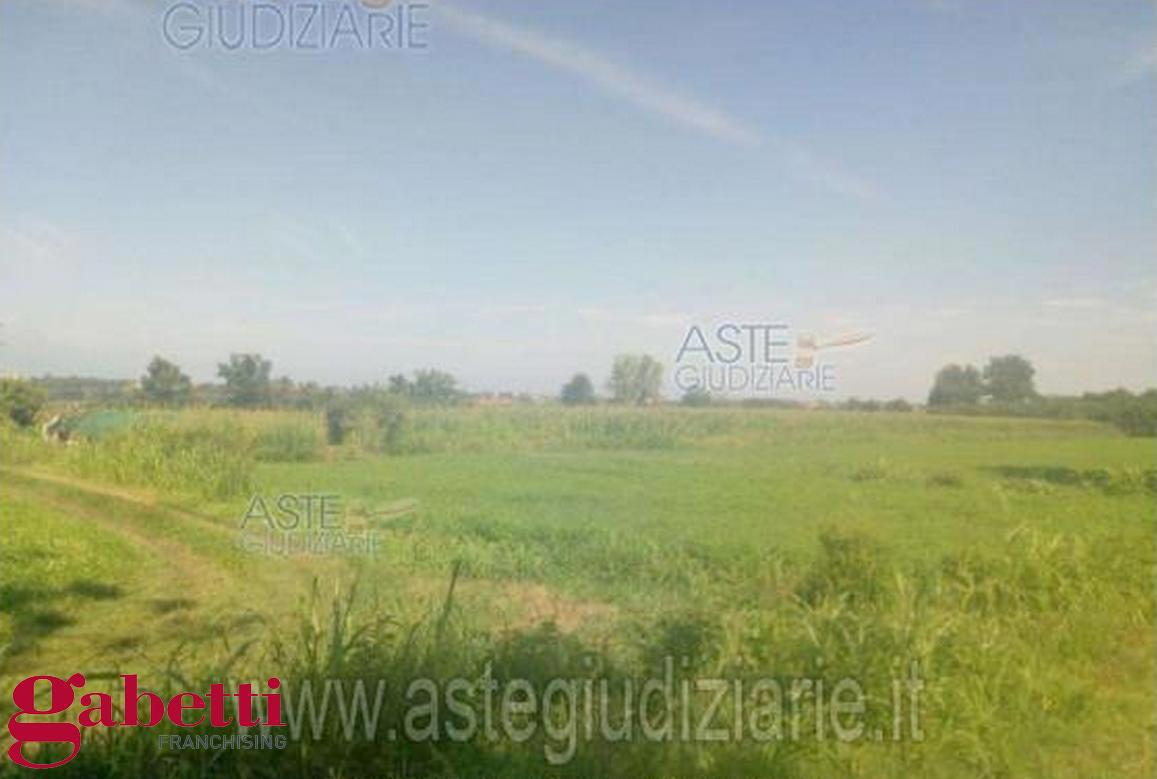 Terreno Agricolo in vendita a Sant'Albano Stura