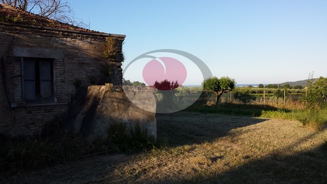 immagine annuncio 1 di 6