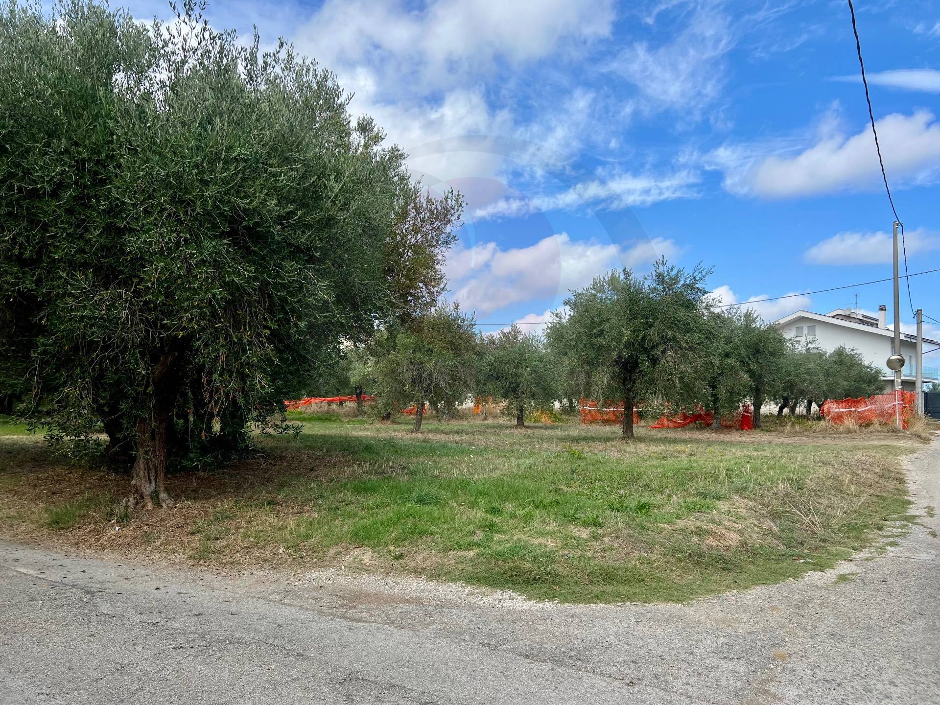 immagine annuncio 1 di 8