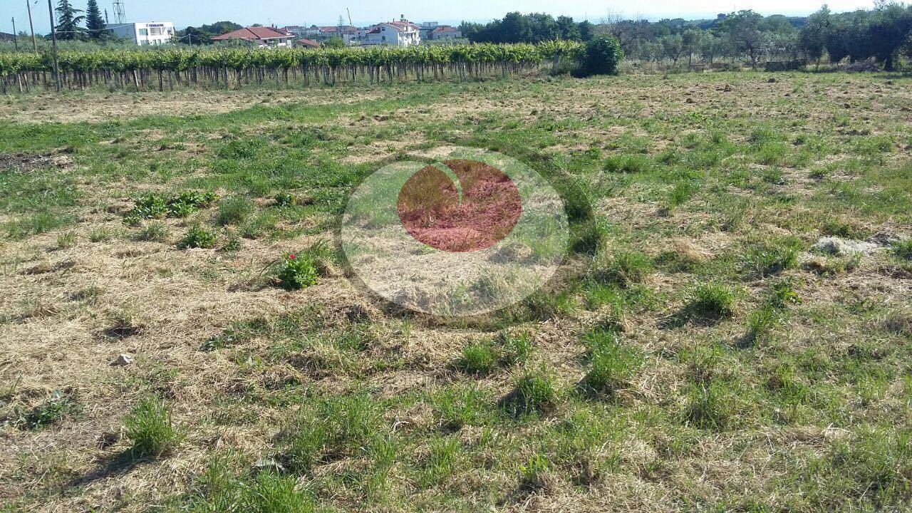 Terreno Industriale in vendita a Lanciano