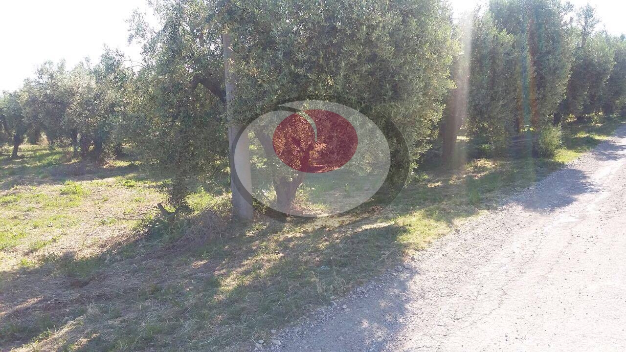 Terreno Industriale in vendita a Lanciano