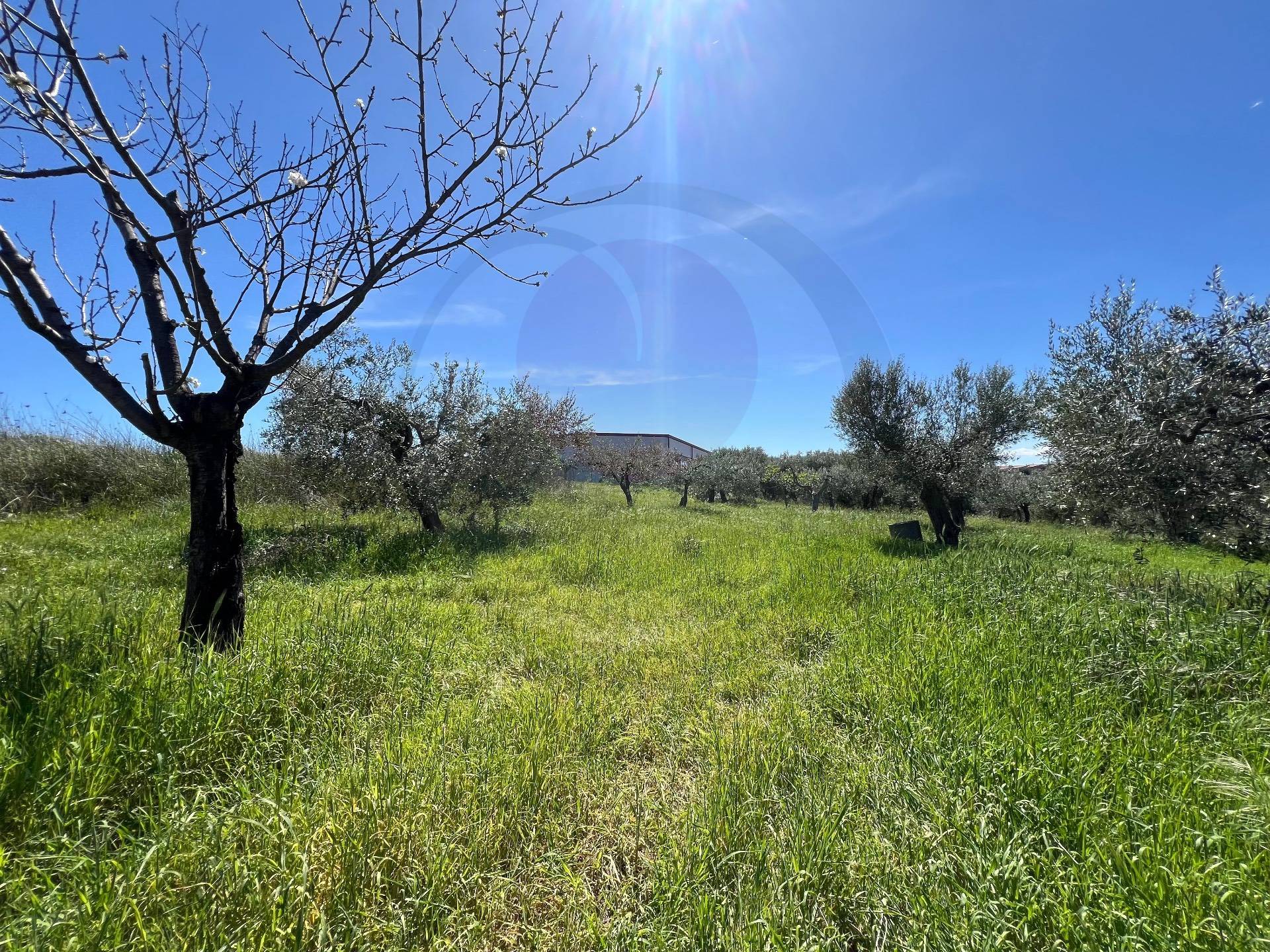 Casa Semindipendente in vendita a Lanciano