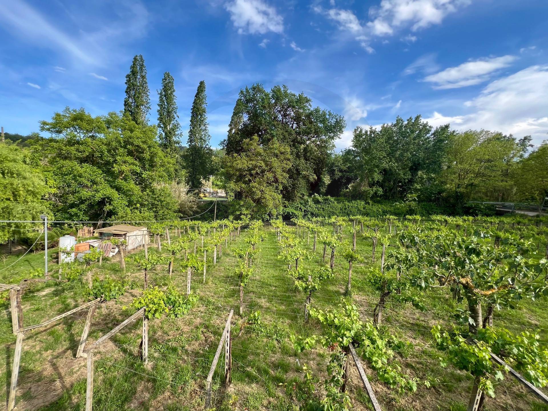 Cascina in Campagna in vendita a Lanciano