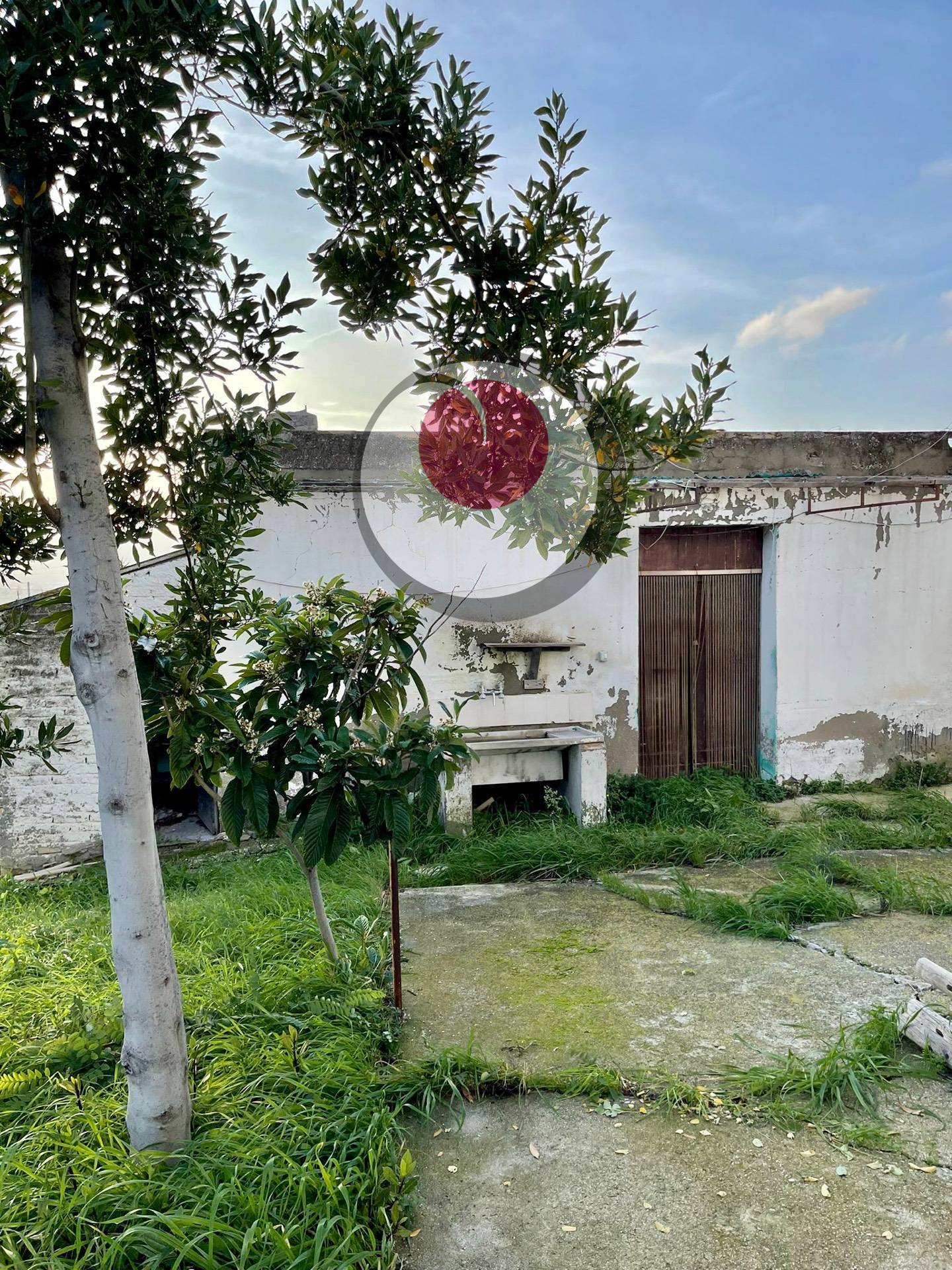 Casa singola in vendita a Paglieta