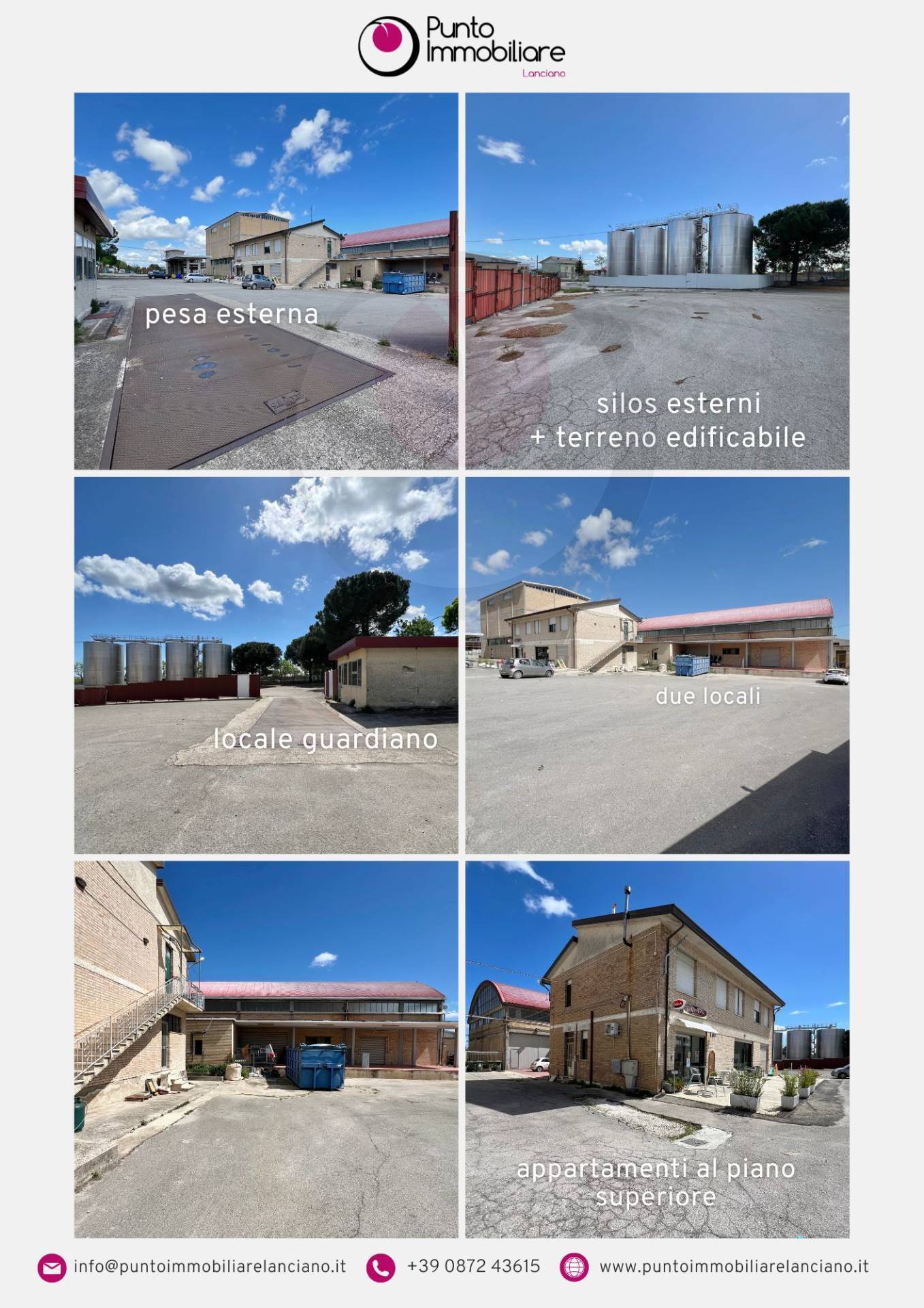 immagine annuncio 1 di 6