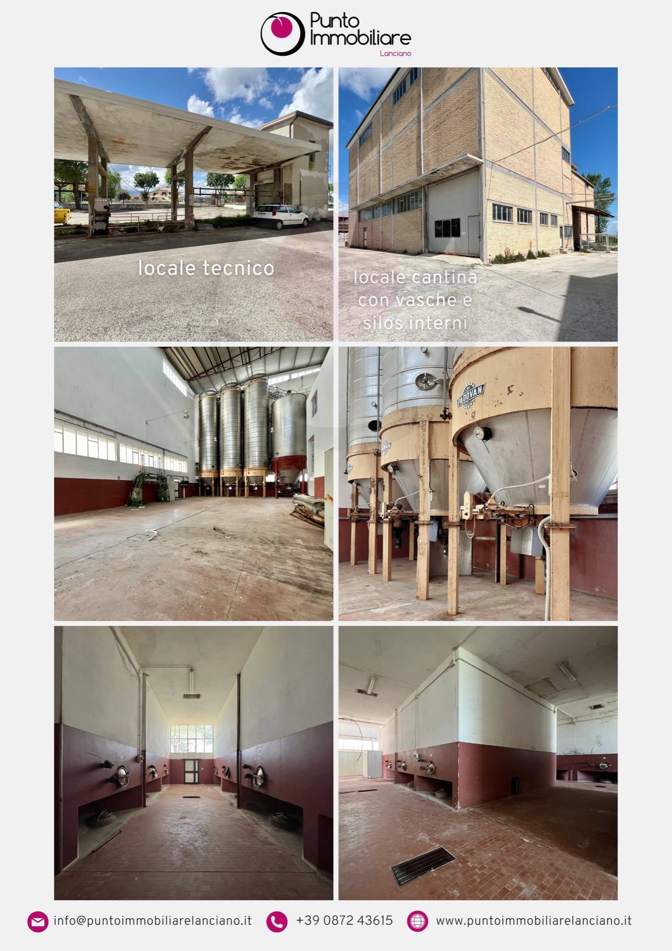 immagine annuncio 4 di 6