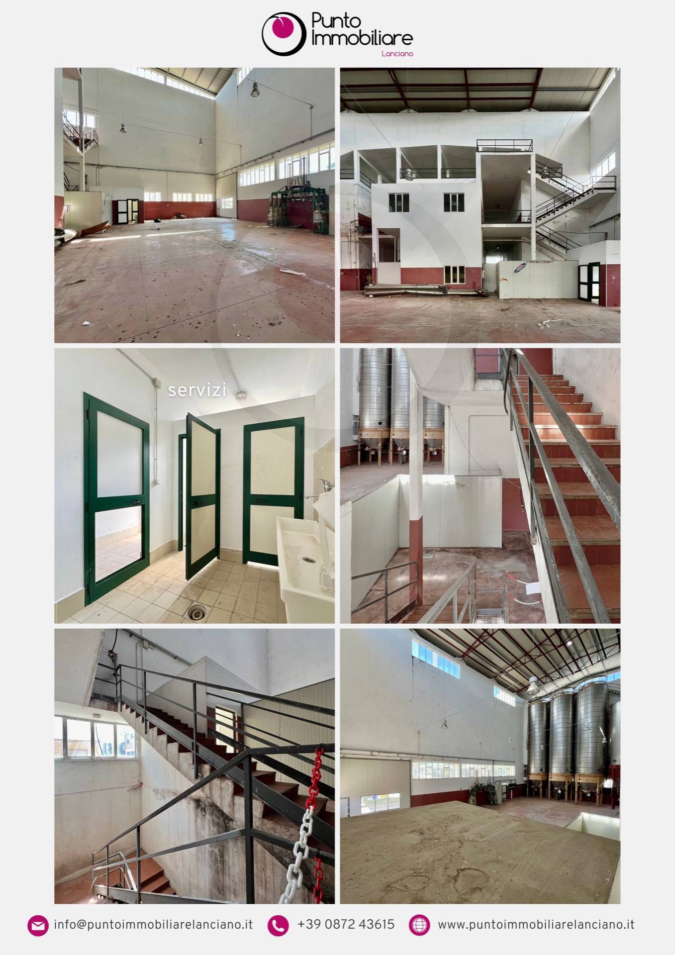 immagine annuncio 5 di 6