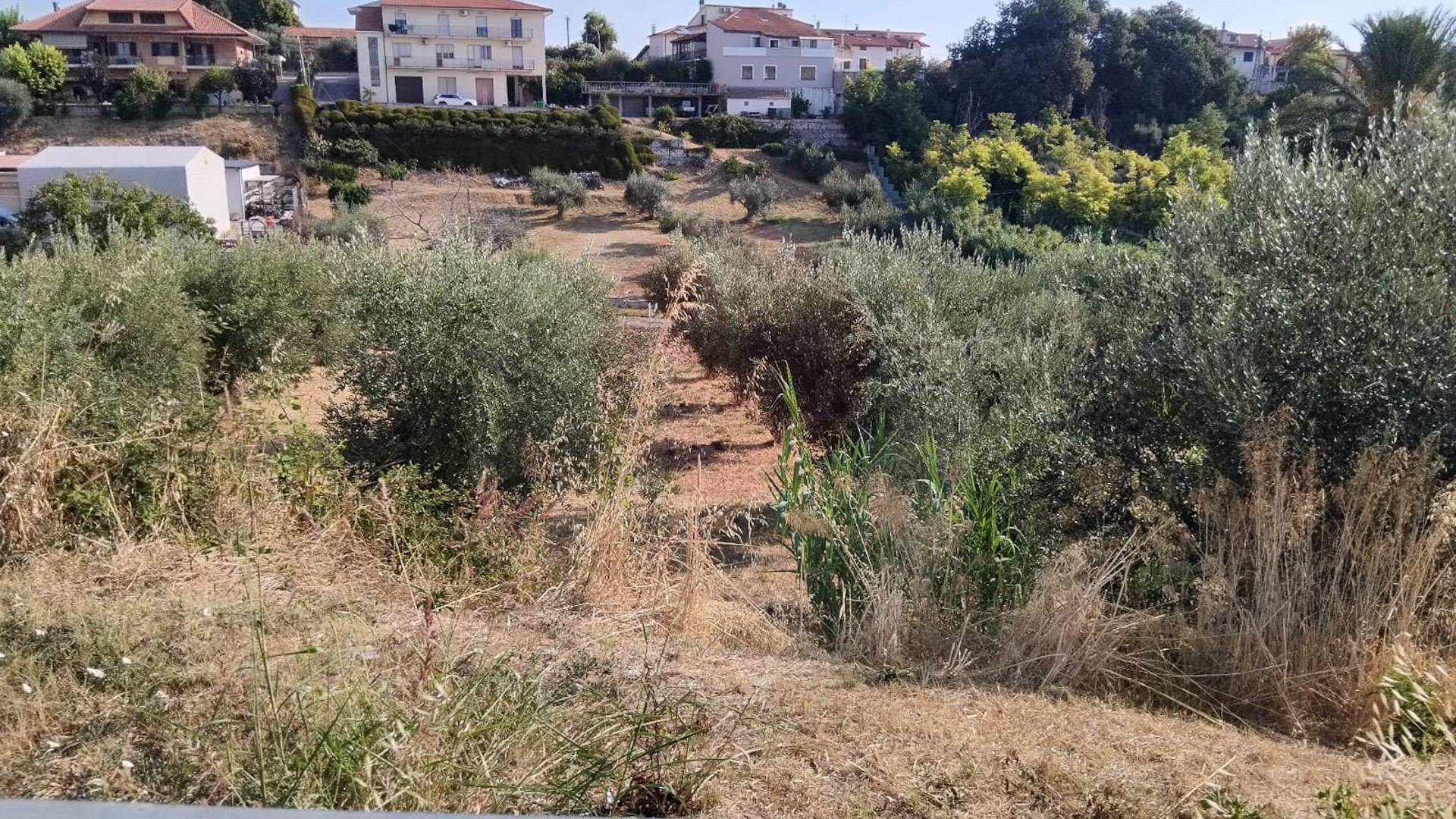 Terreno edificabile in vendita a Frisa