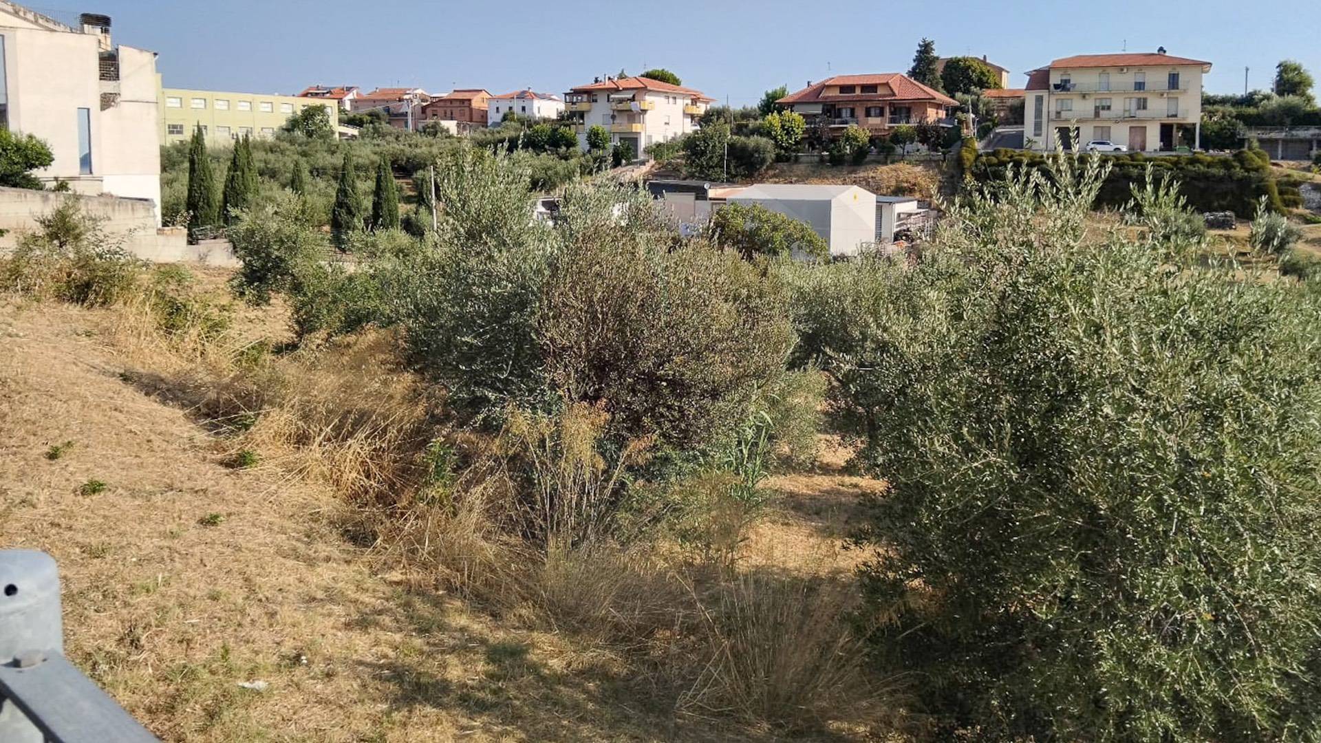Terreno edificabile in vendita a Frisa