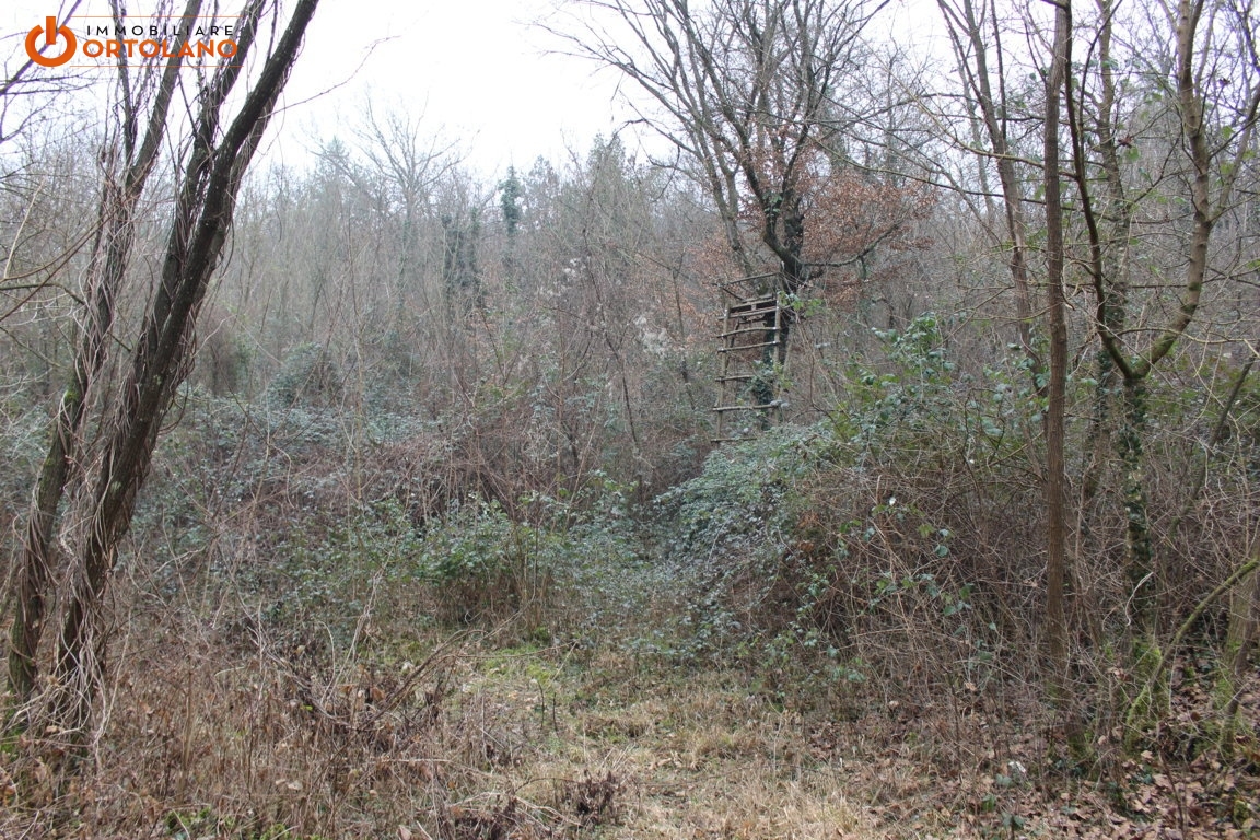 Terreno Agricolo in vendita a Sagrado, Poggio Terza Armata