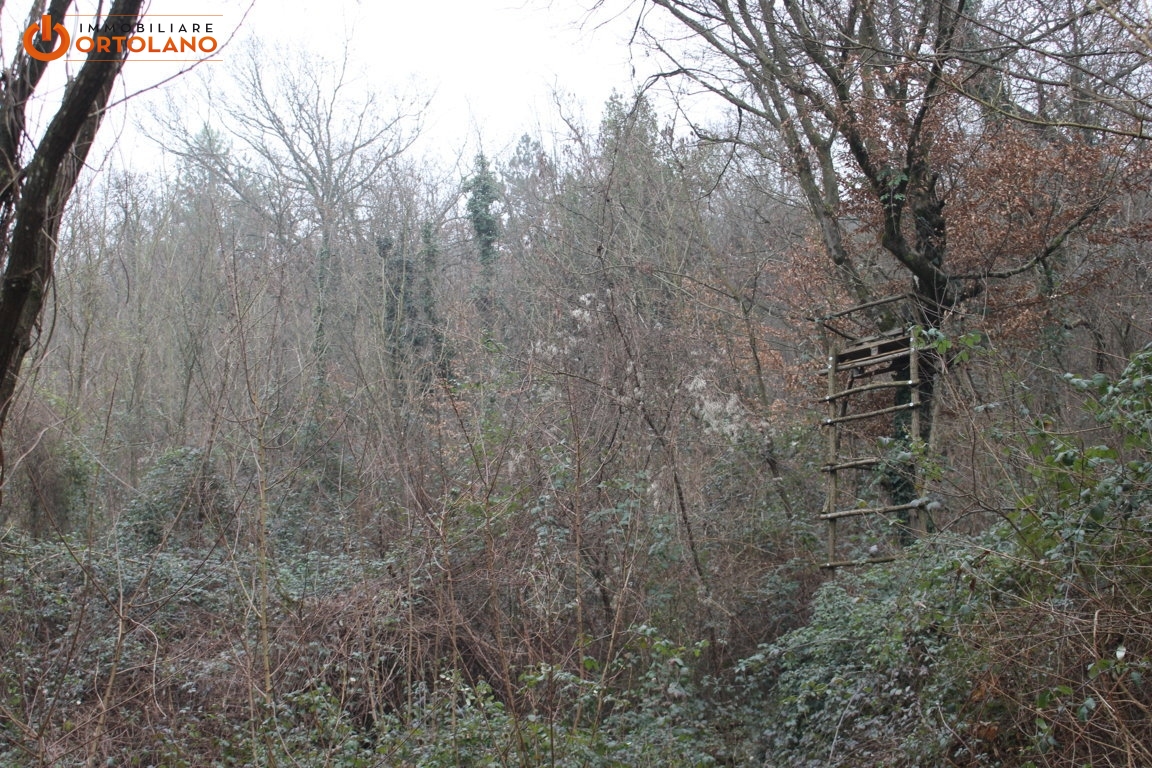 Terreno Agricolo in vendita a Sagrado, Poggio Terza Armata