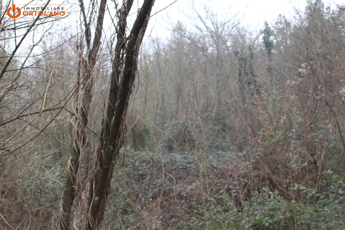 Terreno Agricolo in vendita a Sagrado, Poggio Terza Armata