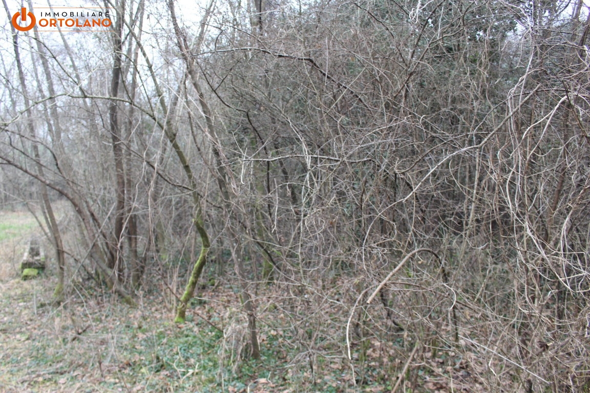 Terreno Agricolo in vendita a Sagrado, Poggio Terza Armata