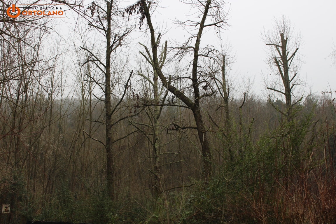 Terreno Agricolo in vendita a Sagrado, Poggio Terza Armata