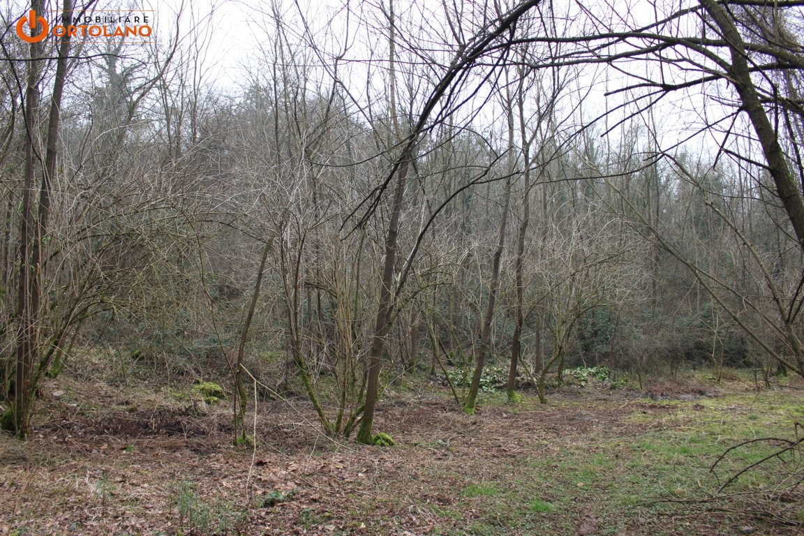 Terreno Agricolo in vendita a Sagrado, Poggio Terza Armata