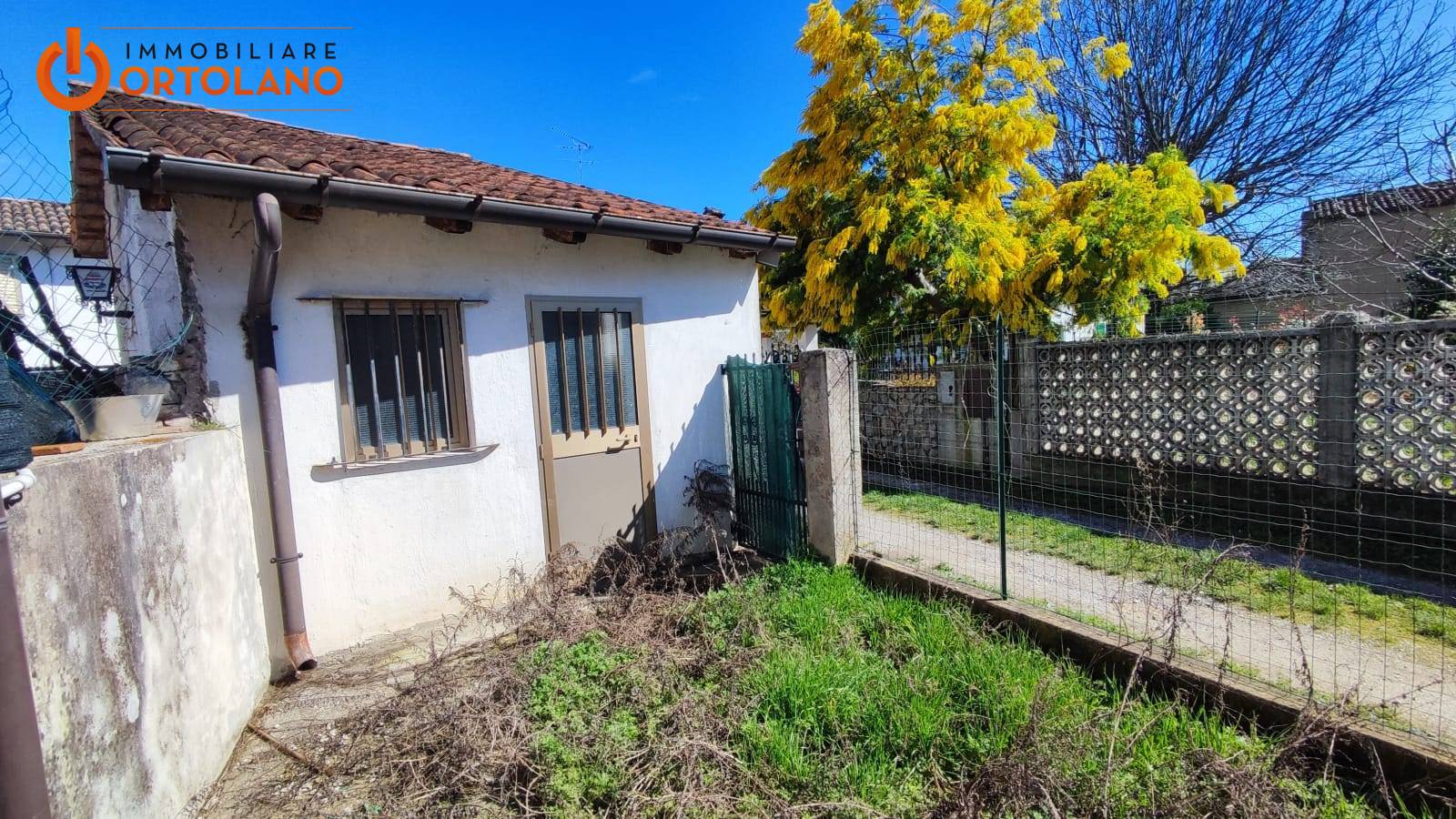 immagine annuncio 4 di 10