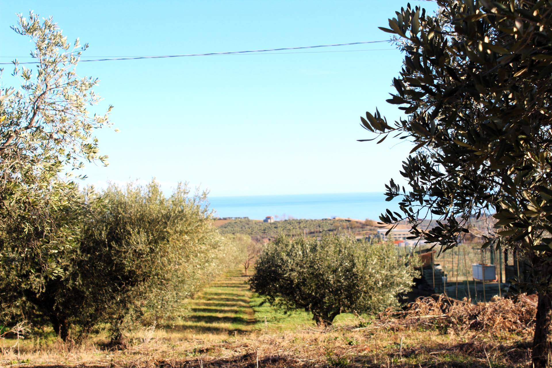 Terreno vista mare a Cupello