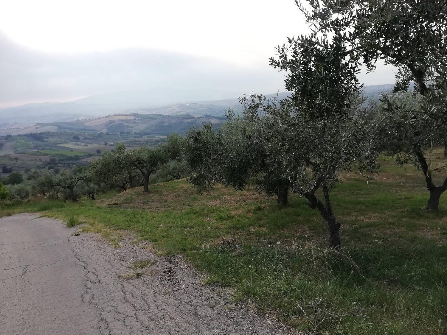 immagine annuncio 1 di 6