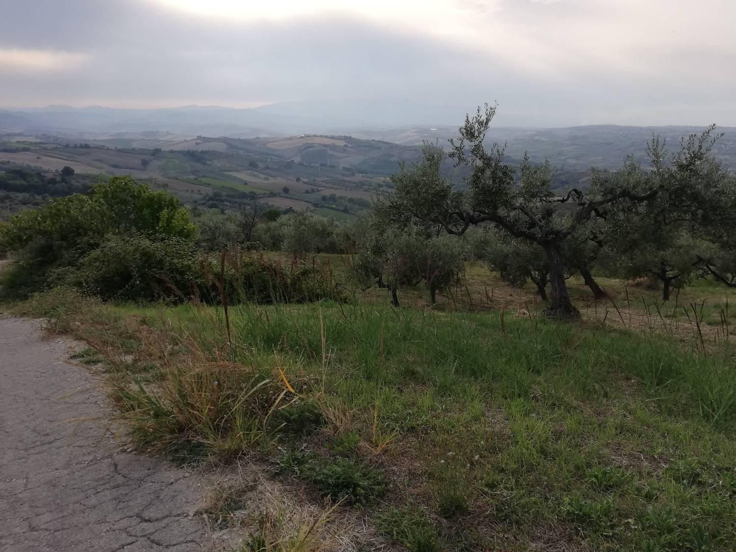 immagine annuncio 4 di 6