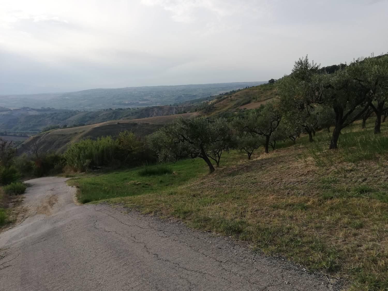 immagine annuncio 6 di 8