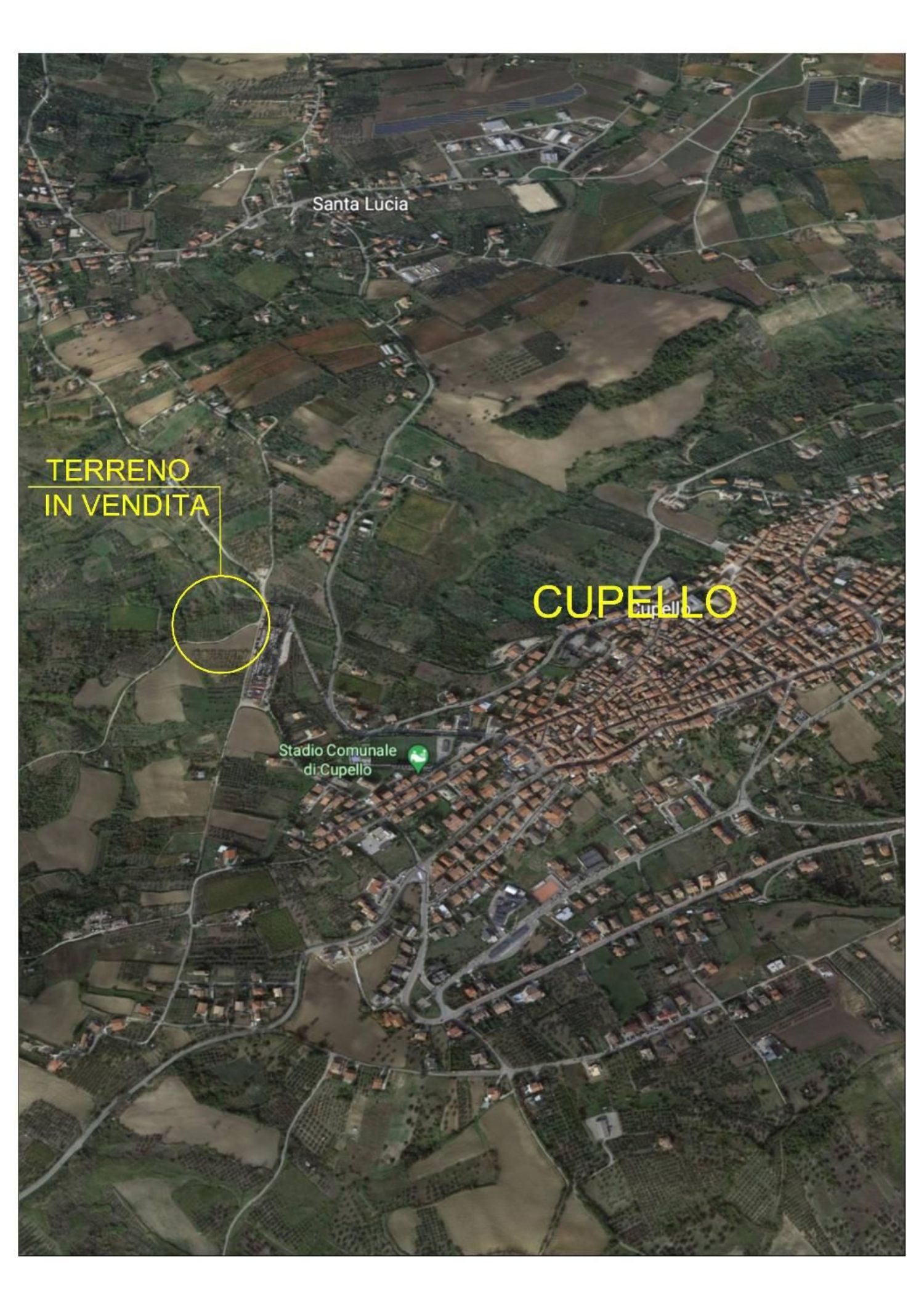 immagine annuncio 7 di 8