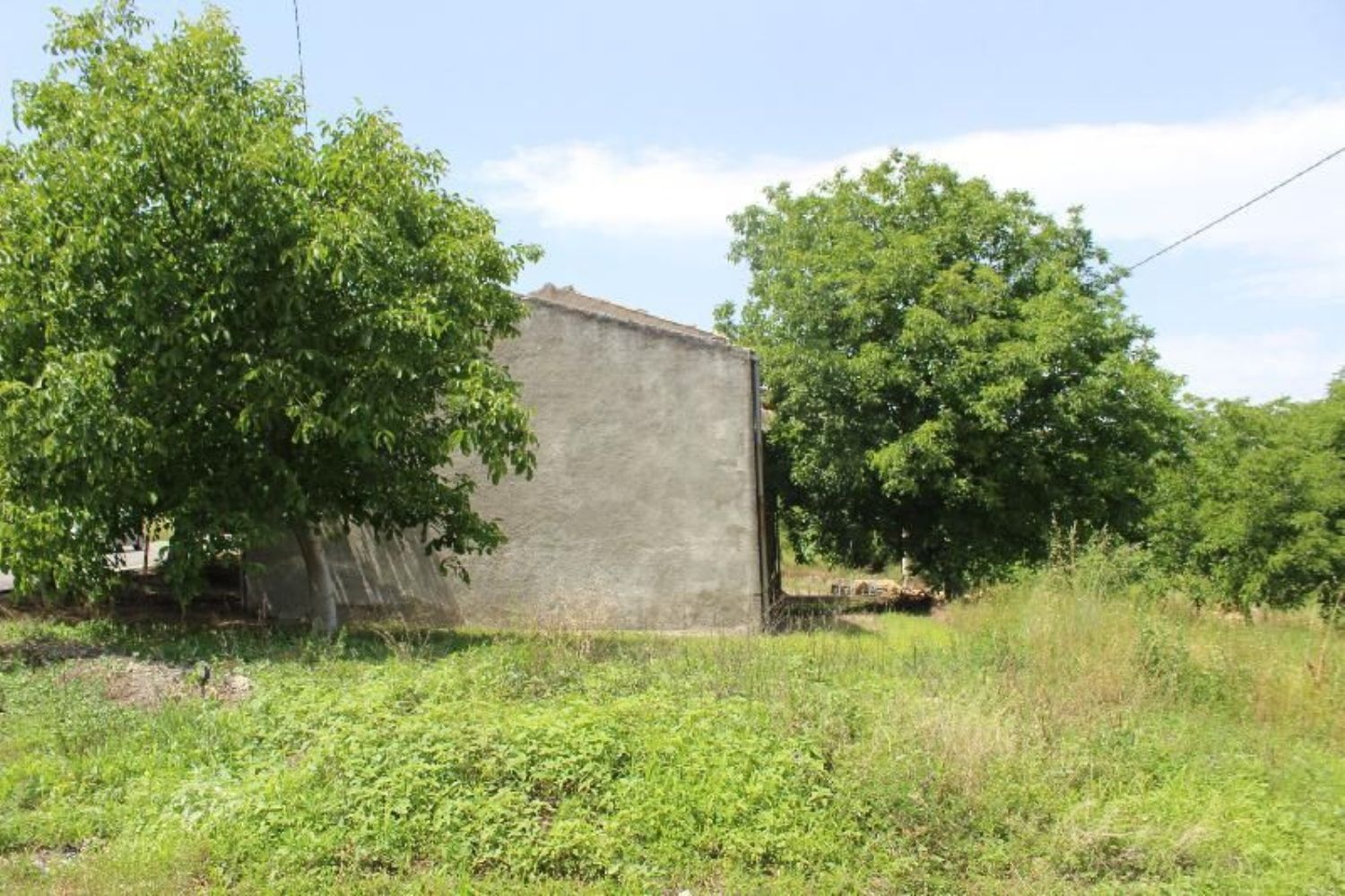 Casa singola in vendita a Palmoli