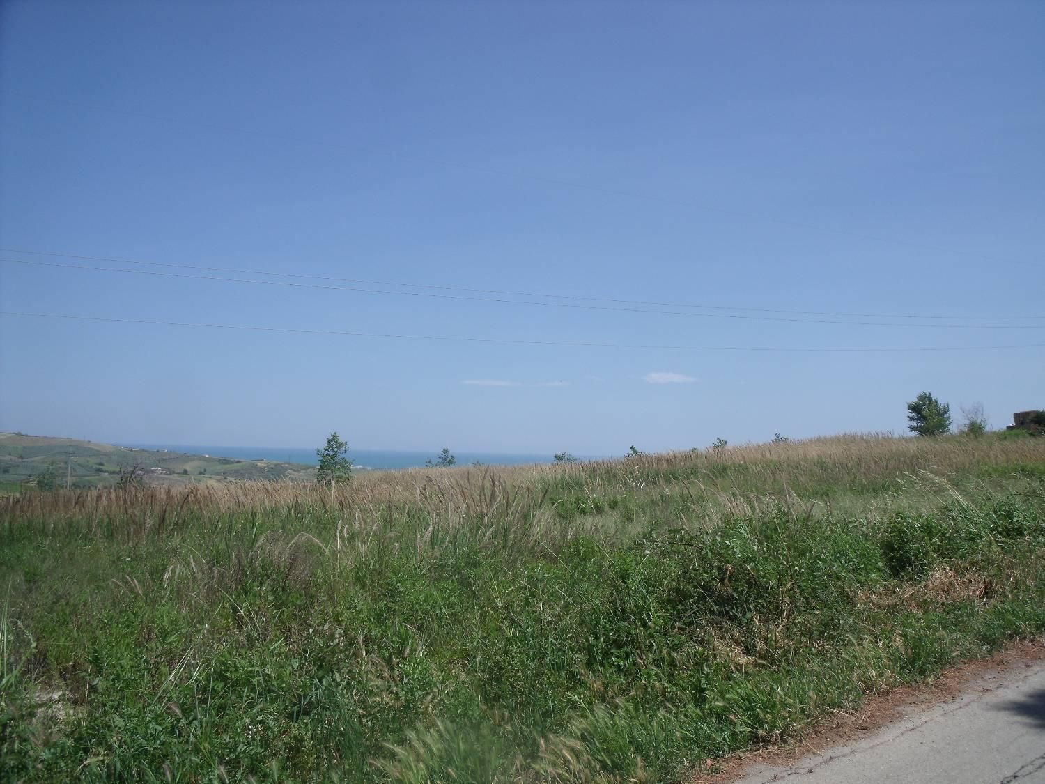 Terreno Agricolo in vendita a Cupello