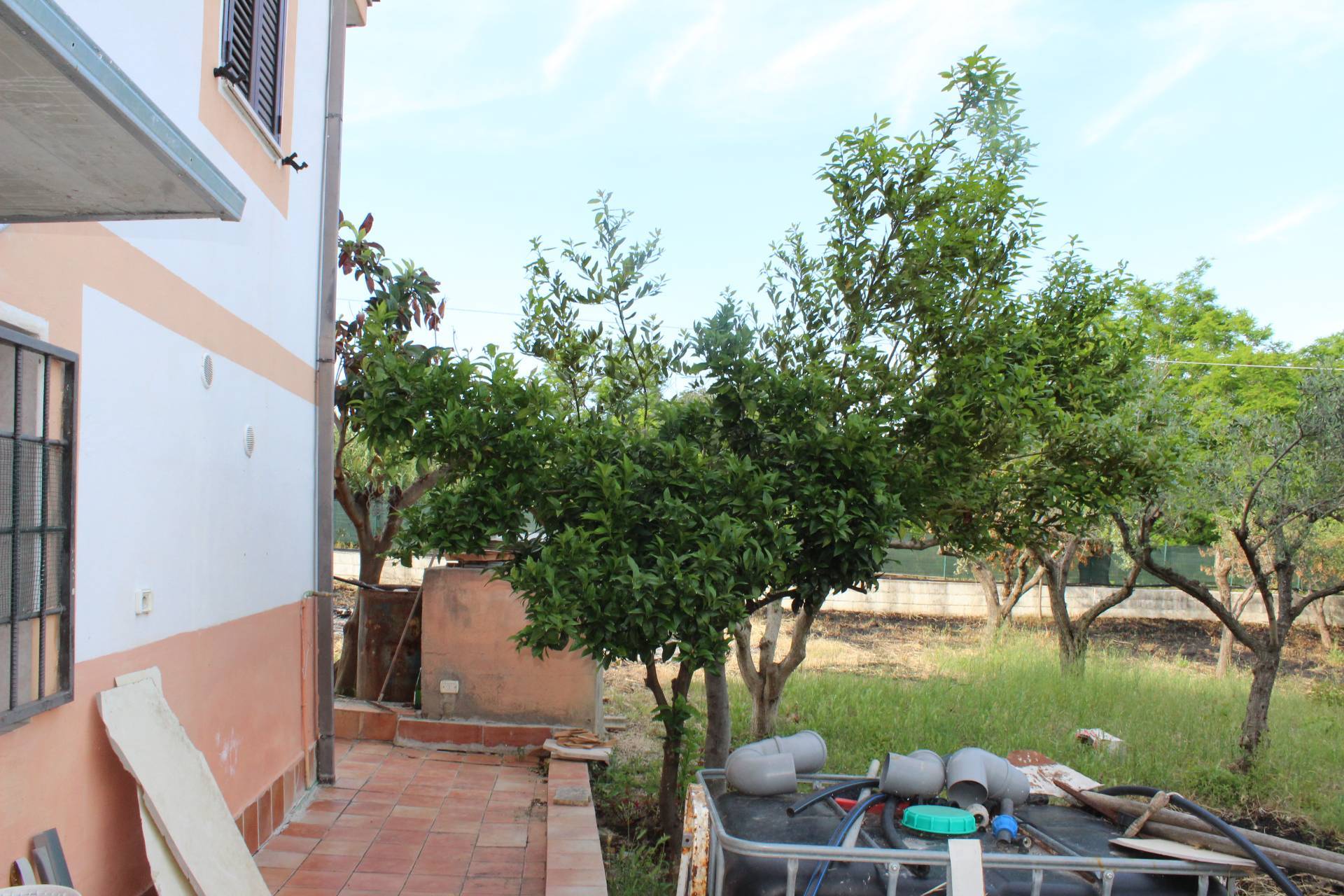 immagine annuncio 3 di 6