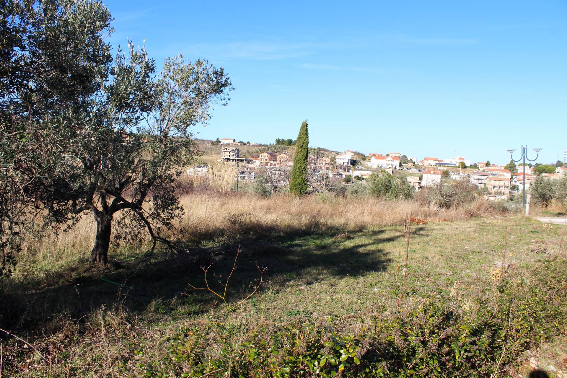 immagine annuncio 3 di 6