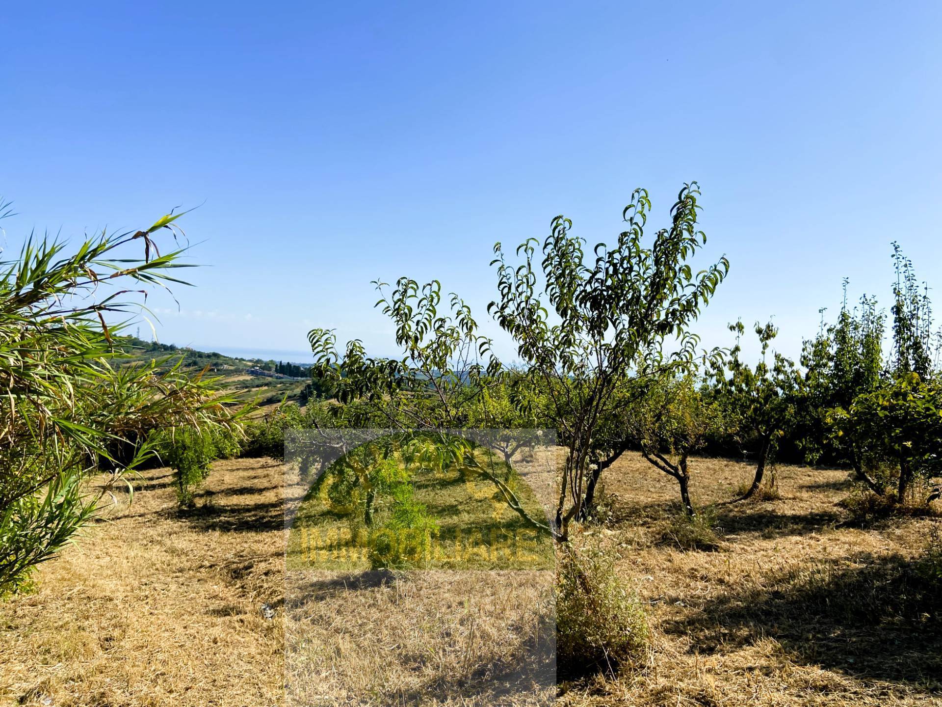 Terreno Agricolo in vendita a Cupello, Colle Mincuccio