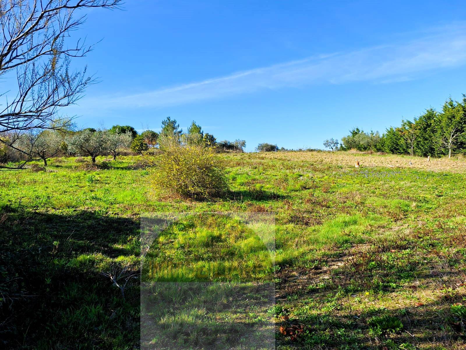Terreno Agricolo in vendita a Cupello, Colle Mincuccio