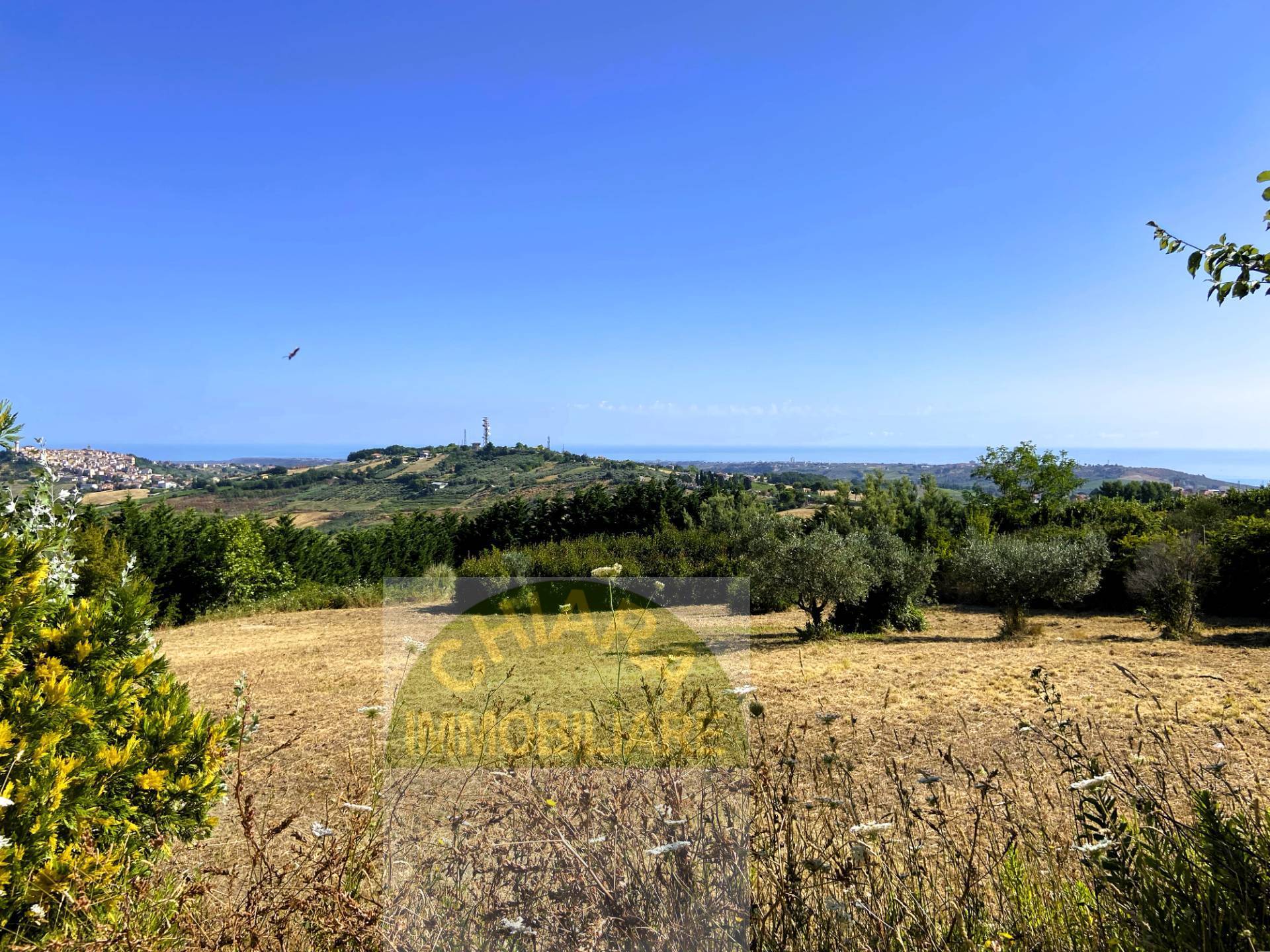 Terreno Agricolo in vendita a Cupello, Colle Mincuccio