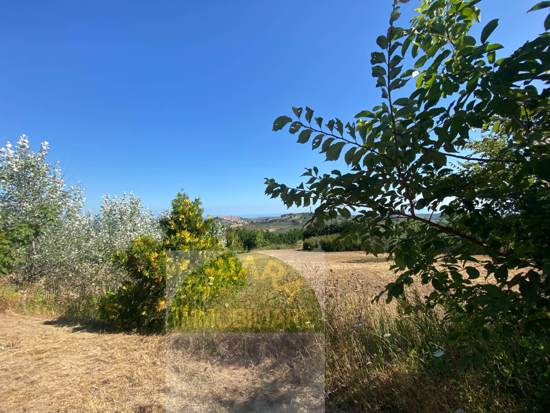 Terreno Agricolo in vendita a Cupello, Colle Mincuccio